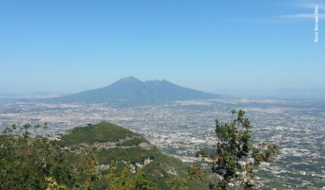 PSR Campania 2014-2020: contributi fino al 70% per le aziende agricole