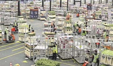 Royal FloraHolland cambia rotta con il “Piano 2020”