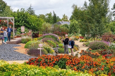 Summer Trials di Voltz Horticulture: la nona edizione dal 20 Agosto al 30 Settembre 2025