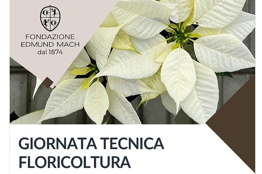 Giovedì 5 Febbraio 2026: Giornata tecnica floricoltura alla FEM