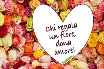 San Valentino 2011: è il fiore il regalo più gettonato