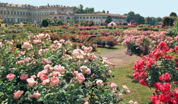 Roseto Villa Reale di Monza e Candy Group di nuovo insieme