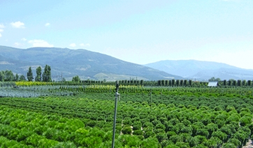 Presentata la “Banca nazionale delle terre agricole”