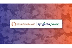 D&uuml;mmen Orange e Syngenta Flowers uniscono le forze: nasce una nuova realt&agrave; per il breeding e la propagazione
