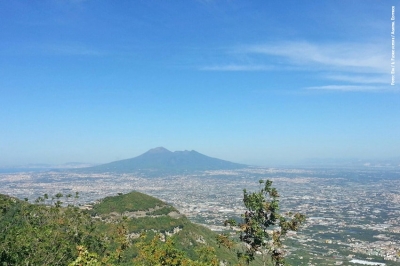 Coronavirus, Campania: dalla Regione 10 milioni di Euro per il florovivaismo