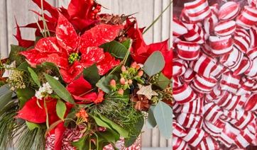 Dolci &amp; Poinsettie per i più piccini e... per i clienti più golosi!