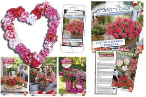 Comunicare le good vibes dei Gerani in negozio e sul web è facile, con i materiali pubblicitari gratuiti di Pelargonium for Europe