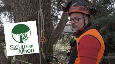 “Sicuri sugli Alberi”: al via la campagna per ridurre gli incidenti tra gli arboricoltori