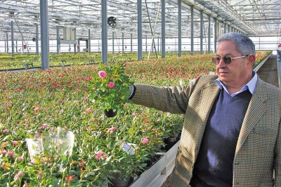 NOTE PERSONALI - Lutto per la floricoltura calabrese, si è spento Renato Papaianni