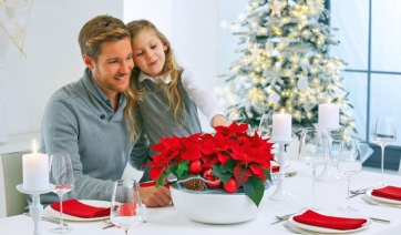 Natale 2016, oltre tre milioni di “Stelle” in Lombardia