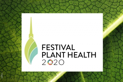 Le piante al centro: il 4 giugno al via il &quot;Festival Plant Health&quot; in modalità virtuale
