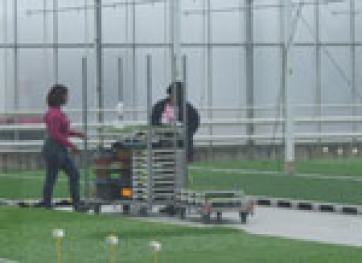 Ancora pochi giorni per richiedere l’indennità di disoccupazione agricola
