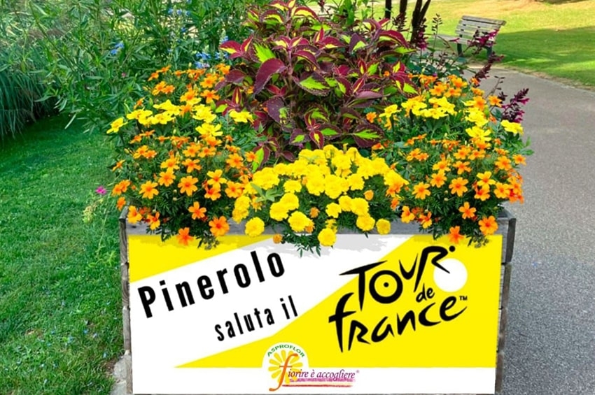 Il Tour de France 2024 passa in Italia e Asproflor lo colora con i fiori
