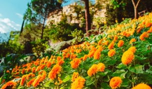 Merano: il 19 agosto visite guidate gratuite ai Giardini di Sissi