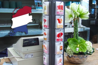 Coronavirus, Olanda verso il lockdown totale: i negozi di fiori e piante chiedono una deroga