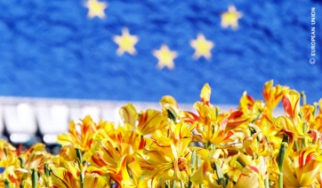 Goditelo, è europeo!