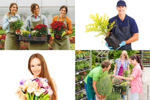 Produzione florovivaistica italiana: nuovo record nel 2024 con oltre 3,25 miliardi di Euro