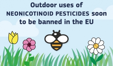 Api, pesticidi neonicotinoidi: l’Ue estende il divieto