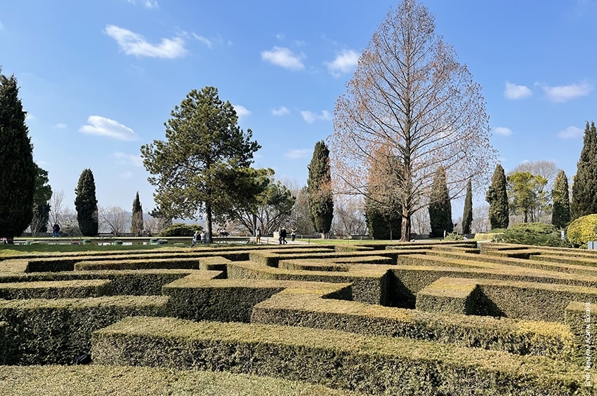 Al Parco Giardino Sigurtà nasce il “polirinto”