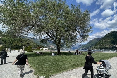 INPS sostiene il Master di II livello in “Progettazione e Gestione Sostenibile del Verde Urbano ed Extraurbano”