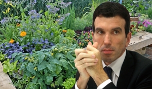 Ecobonus giardini e orti: si attende  il sì del ministro Martina