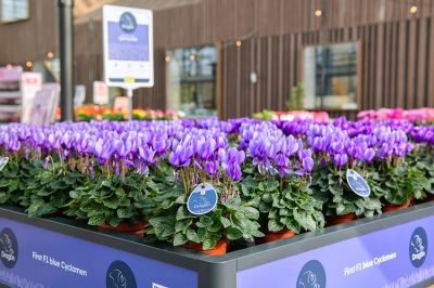 Schoneveld Breeding, un nuovo Web Shop dedicato all&rsquo;acquisto delle etichette