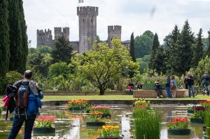 Parco Giardino Sigurtà: riapre l’8 Marzo ed è subito Tulipanomania