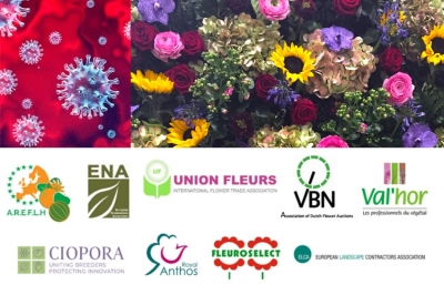 Coronavirus, l&#039;Europa dei fiori si unisce in un appello all&#039;UE: «Aiutateci ora, prima che sia troppo tardi»