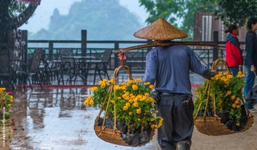 In Cina l’Asta Royal FloraHolland si fa in tre
